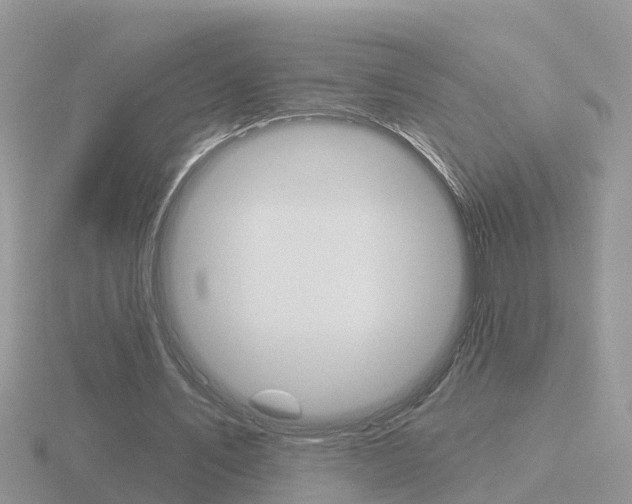 X0000116650579200912141008