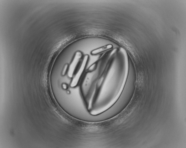 X0000116650581200912141008