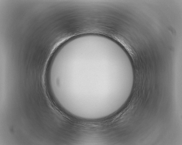 X0000116650583200912141008
