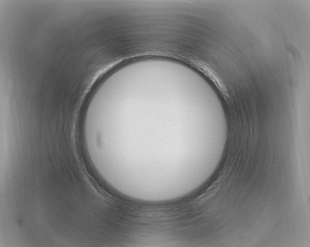 X0000116650588200912141008