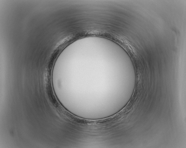X0000116650591200912141008