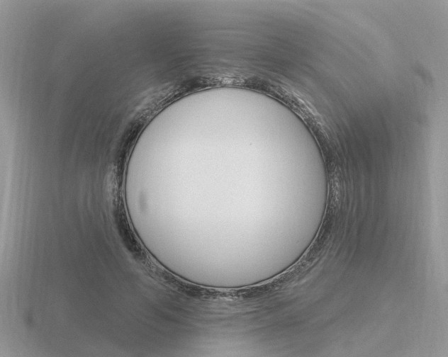 X0000116650594200912141008