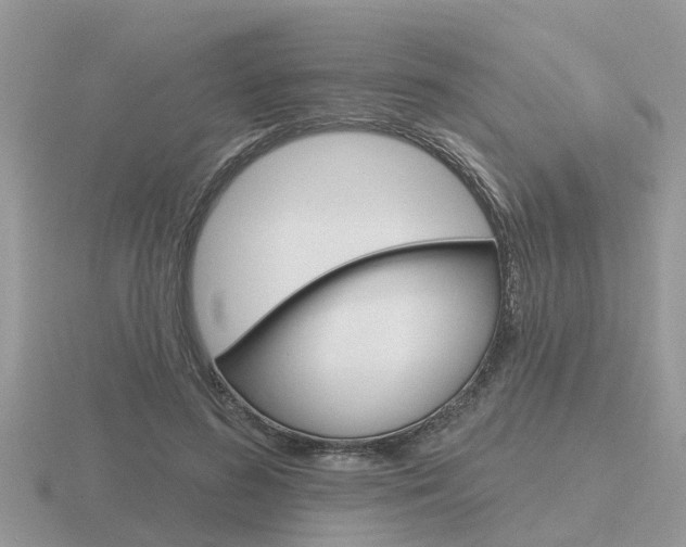 X0000116650596200912141008