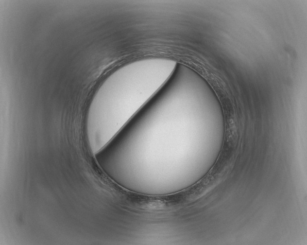 X0000116650600200912141008