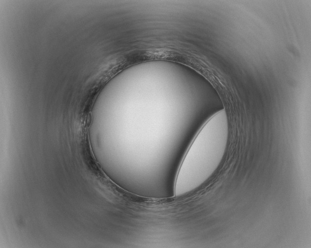 X0000116650601200912141008