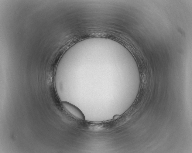 X0000116650602200912141008