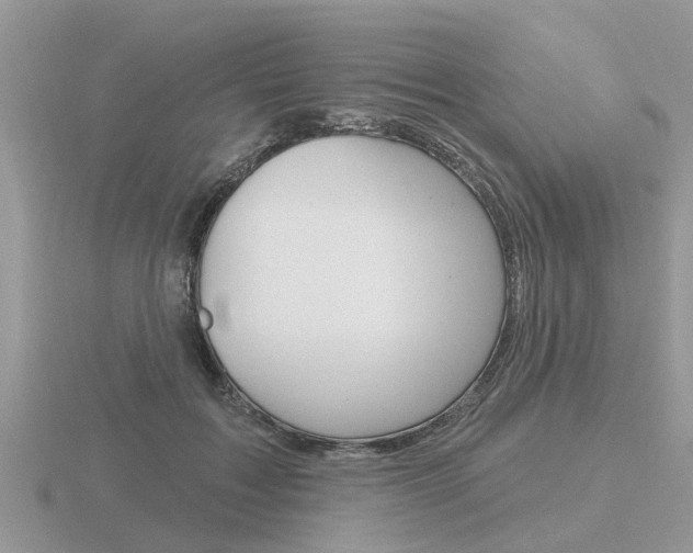 X0000116650603200912141008