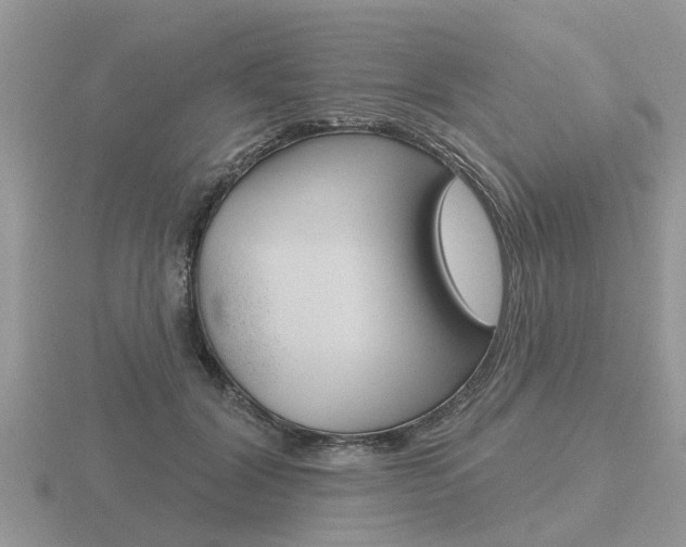 X0000116650604200912141008