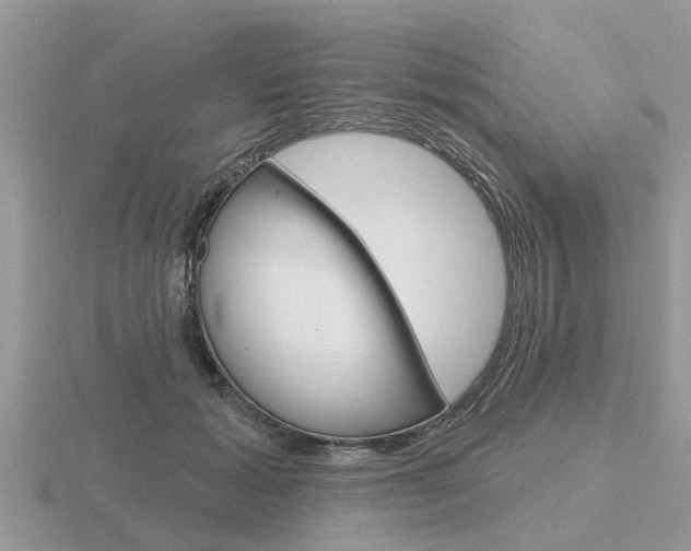 X0000116650605200912141008