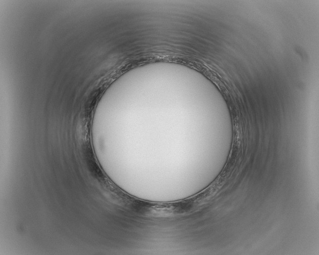 X0000116650606200912141008