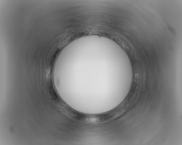 X0000116650610200912141007