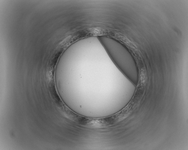 X0000116650611200912141007