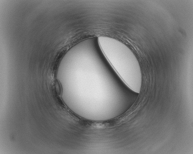 X0000116650613200912141007