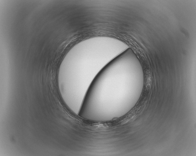 X0000116650616200912141007