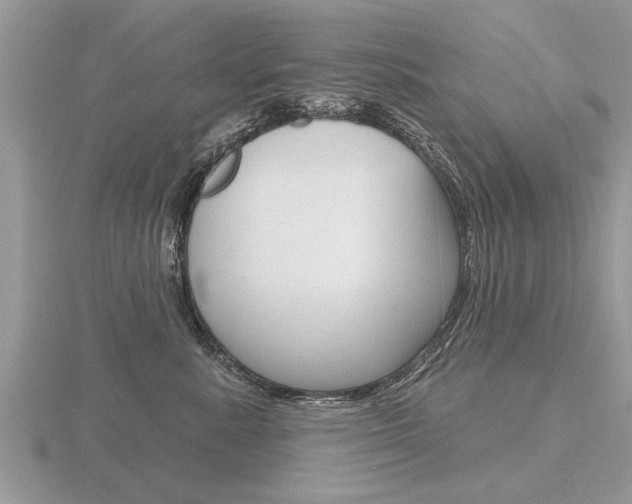 X0000116650619200912141007
