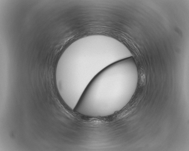 X0000116650620200912141007