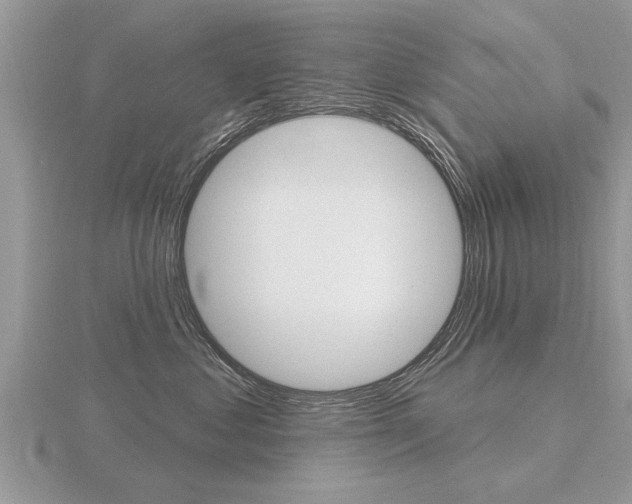 X0000116650621200912141007