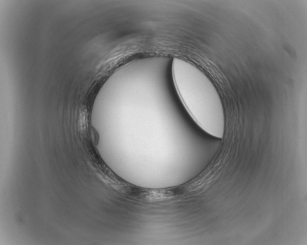 X0000116650623200912141007