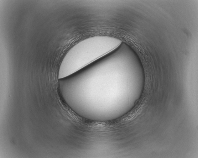 X0000116650624200912141007