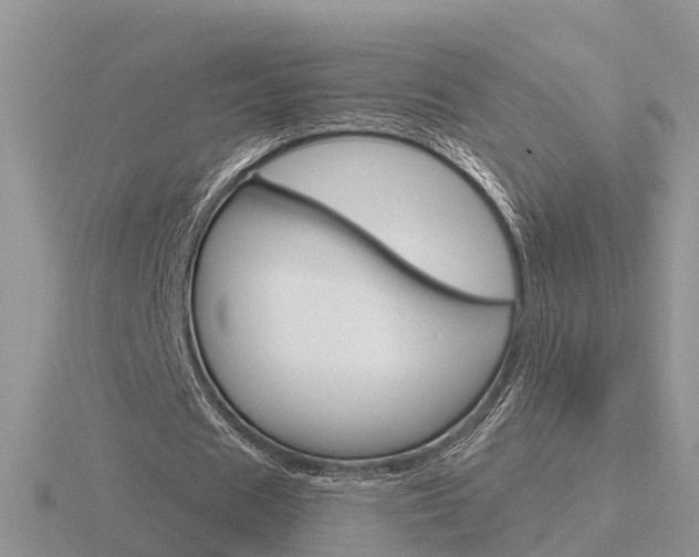 X0000116650625200912141007