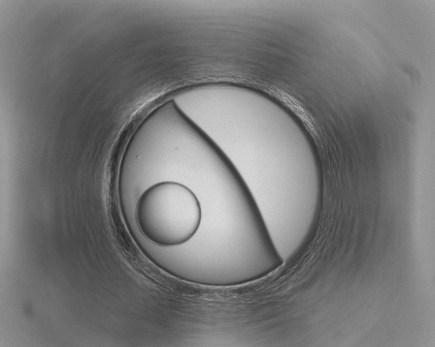 X0000116650627200912141007