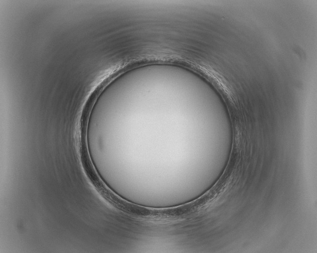 X0000116650630200912141007