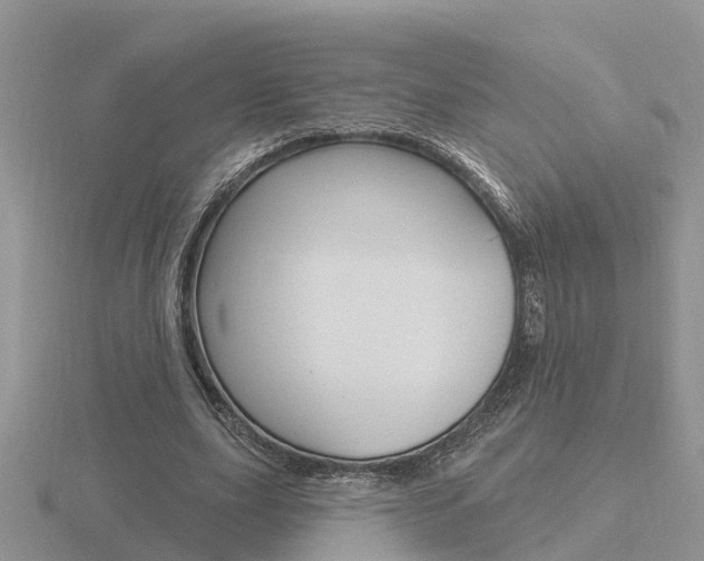 X0000116650631200912141007