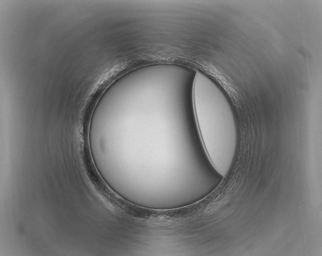 X0000116650634200912141007