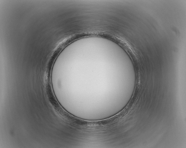 X0000116650636200912141007