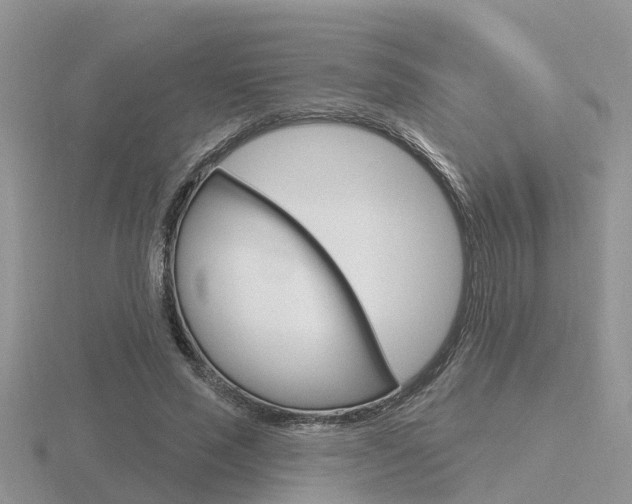 X0000116650637200912141007