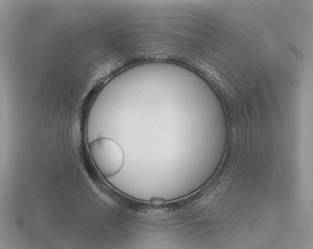 X0000116650638200912141007