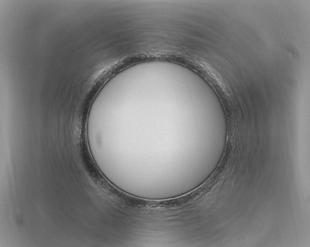 X0000116650640200912141007