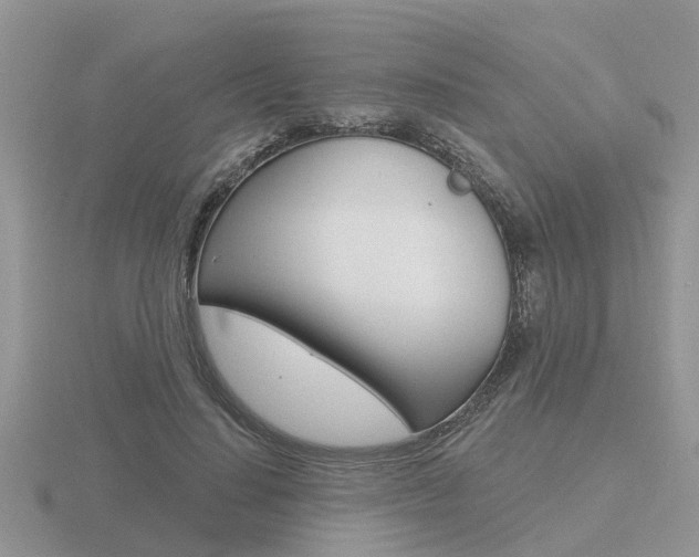 X0000116650644200912141007