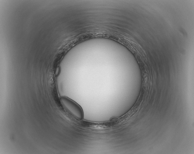 X0000116650654200912141007