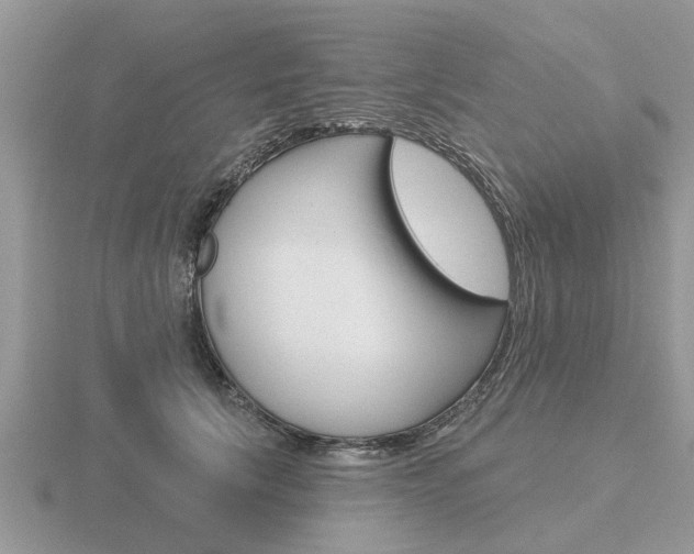 X0000116650657200912141007