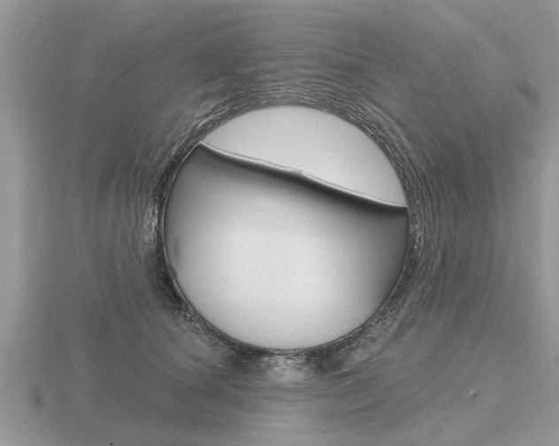 X0000116650660200912141007