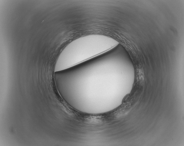 X0000116650664200912141007