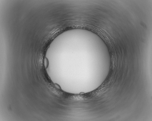 X0000116650668200912141007