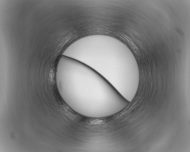 X0000116650669200912141007