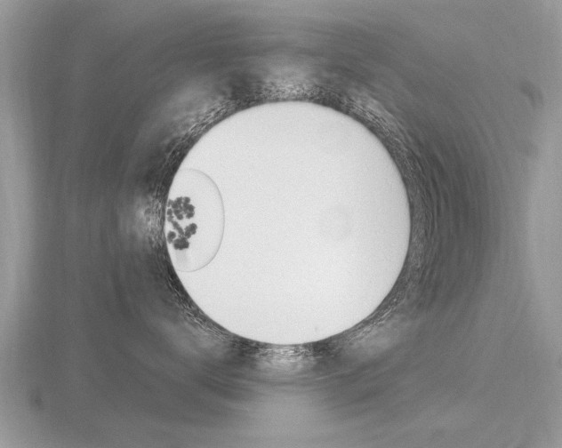 X0000116650672200912141007