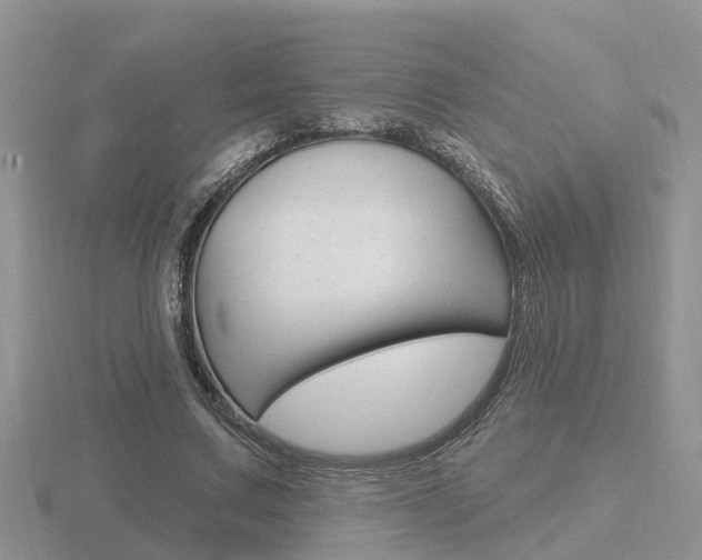 X0000116650683200912141007