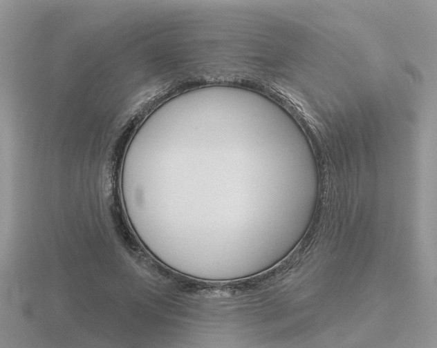 X0000116650687200912141006