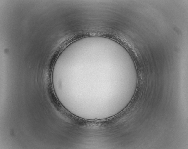 X0000116650690200912141006