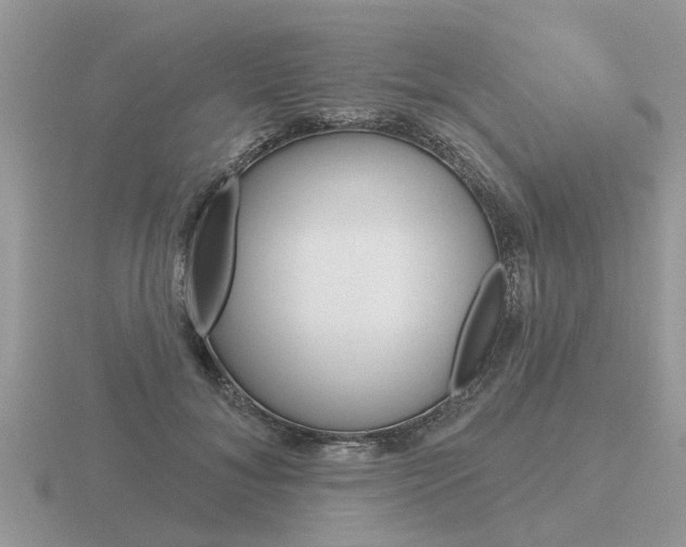 X0000116650700200912141006