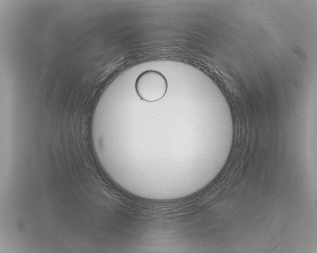 X0000116650704200912141006
