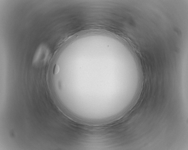 X0000116650705200912141006