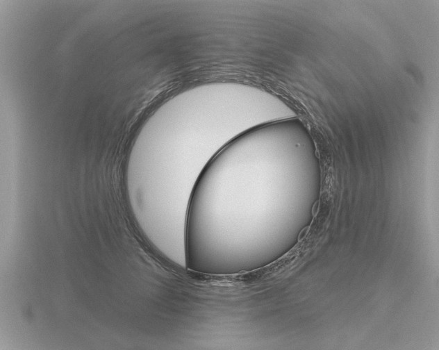 X0000116650708200912141006