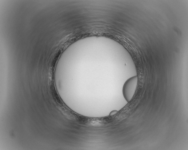 X0000116650710200912141006