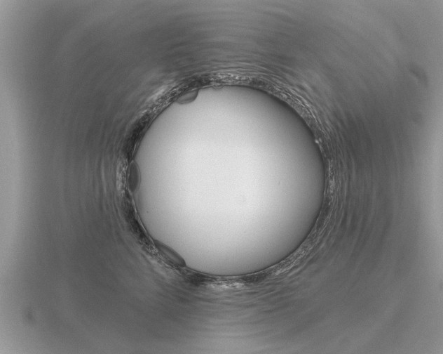 X0000116650712200912141006