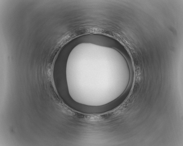 X0000116650716200912141006